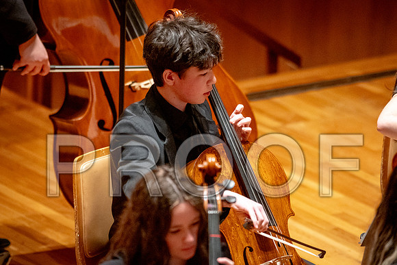 2024 University of Illinois High School Orchestra ClinicFebruary 24, 2024