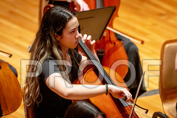2024 University of Illinois High School Orchestra ClinicFebruary 24, 2024