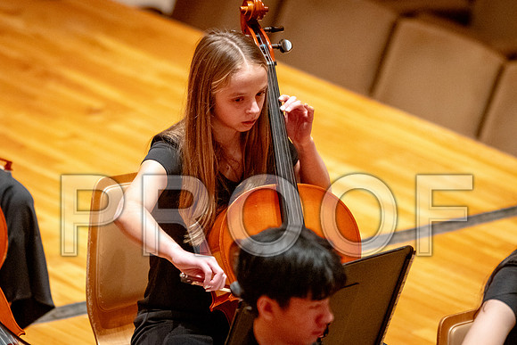 2024 University of Illinois High School Orchestra ClinicFebruary 24, 2024