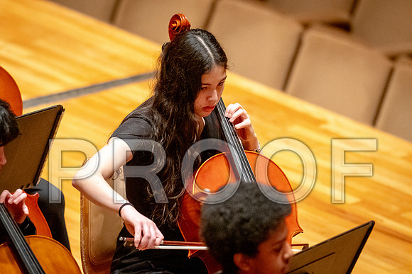 2024 University of Illinois High School Orchestra ClinicFebruary 24, 2024