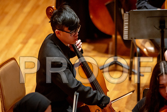 2024 University of Illinois High School Orchestra ClinicFebruary 24, 2024