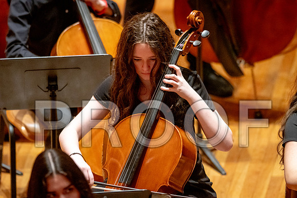 2024 University of Illinois High School Orchestra ClinicFebruary 24, 2024