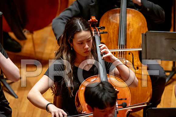 2024 University of Illinois High School Orchestra ClinicFebruary 24, 2024