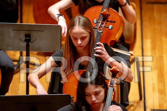 2024 University of Illinois High School Orchestra ClinicFebruary 24, 2024