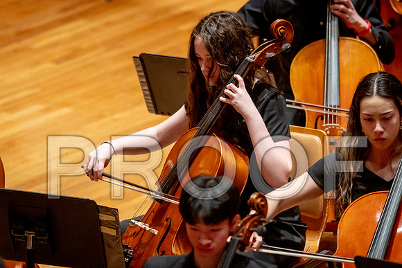 2024 University of Illinois High School Orchestra ClinicFebruary 24, 2024