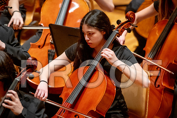 2024 University of Illinois High School Orchestra ClinicFebruary 24, 2024