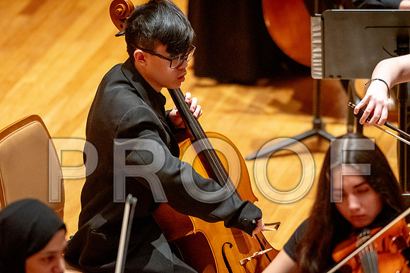 2024 University of Illinois High School Orchestra ClinicFebruary 24, 2024