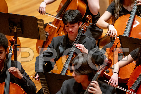 2024 University of Illinois High School Orchestra ClinicFebruary 24, 2024