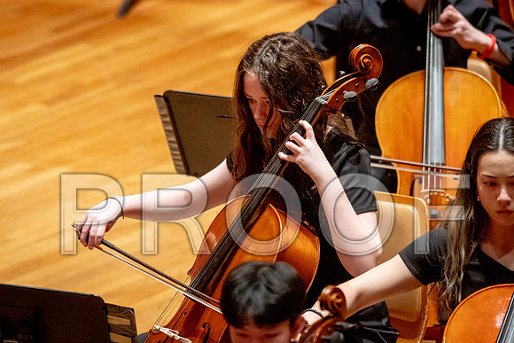 2024 University of Illinois High School Orchestra ClinicFebruary 24, 2024