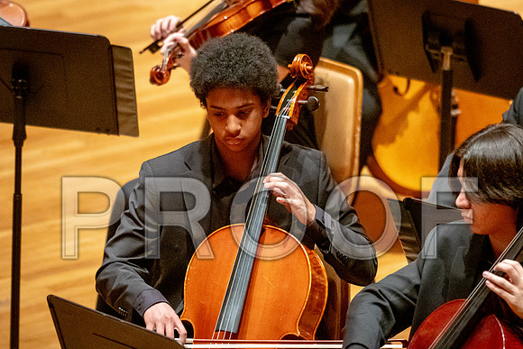 2024 University of Illinois High School Orchestra ClinicFebruary 24, 2024