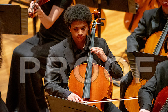 2024 University of Illinois High School Orchestra ClinicFebruary 24, 2024