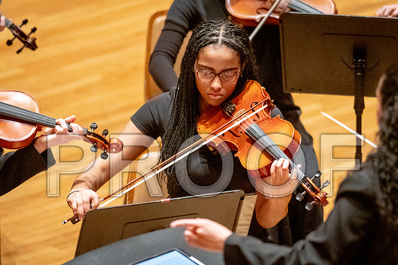 2024 University of Illinois High School Orchestra ClinicFebruary 24, 2024