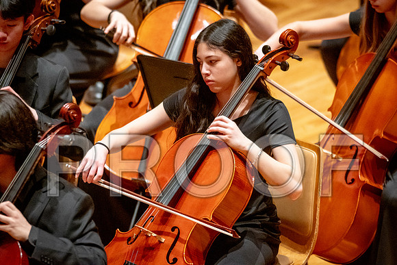 2024 University of Illinois High School Orchestra ClinicFebruary 24, 2024