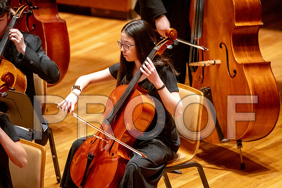 2024 University of Illinois High School Orchestra ClinicFebruary 24, 2024