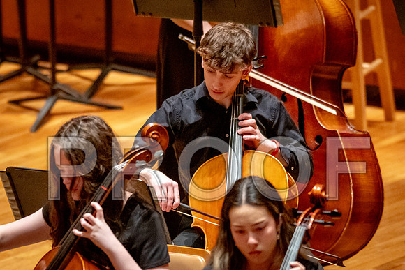 2024 University of Illinois High School Orchestra ClinicFebruary 24, 2024