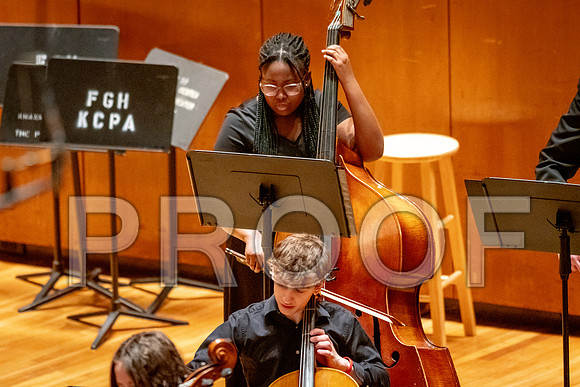 2024 University of Illinois High School Orchestra ClinicFebruary 24, 2024
