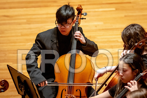 2024 University of Illinois High School Orchestra ClinicFebruary 24, 2024