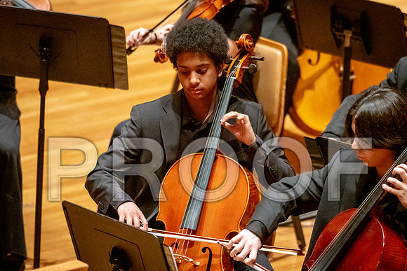 2024 University of Illinois High School Orchestra ClinicFebruary 24, 2024