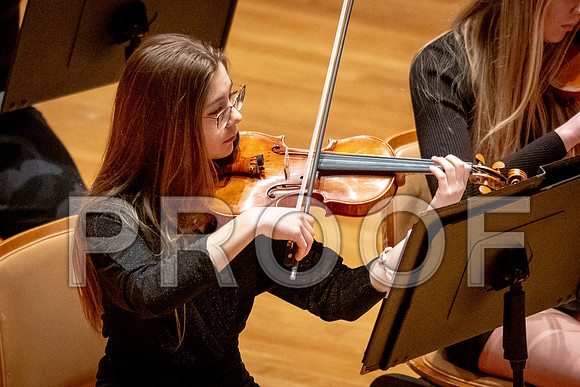 2024 University of Illinois High School Orchestra ClinicFebruary 24, 2024