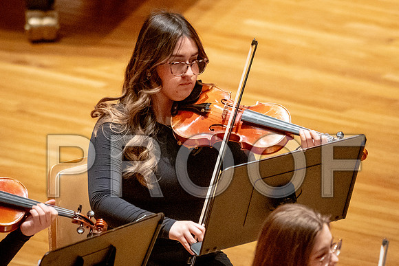 2024 University of Illinois High School Orchestra ClinicFebruary 24, 2024