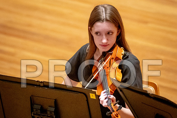 2024 University of Illinois High School Orchestra ClinicFebruary 24, 2024