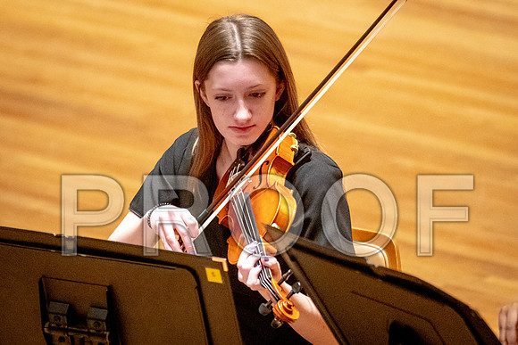2024 University of Illinois High School Orchestra ClinicFebruary 24, 2024