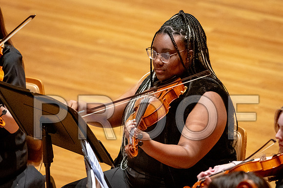 2024 University of Illinois High School Orchestra ClinicFebruary 24, 2024
