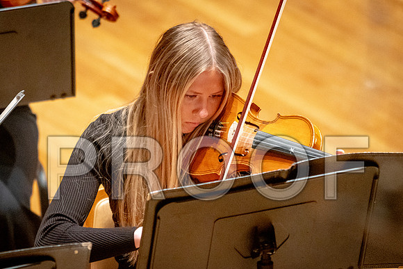 2024 University of Illinois High School Orchestra ClinicFebruary 24, 2024
