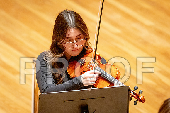 2024 University of Illinois High School Orchestra ClinicFebruary 24, 2024
