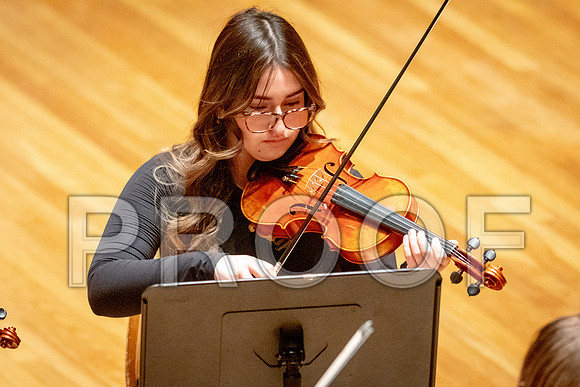 2024 University of Illinois High School Orchestra ClinicFebruary 24, 2024