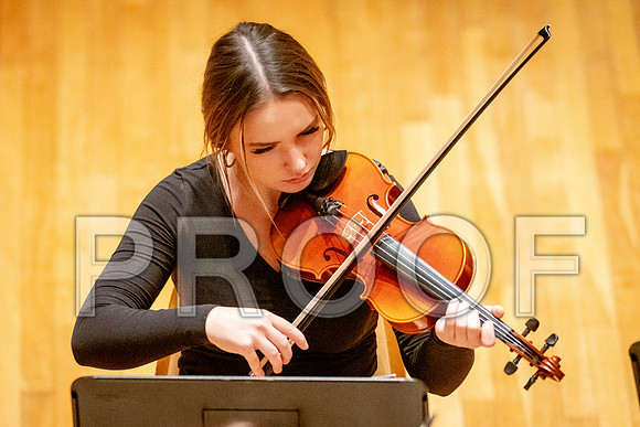 2024 University of Illinois High School Orchestra ClinicFebruary 24, 2024