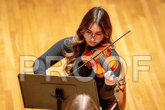 2024 University of Illinois High School Orchestra ClinicFebruary 24, 2024