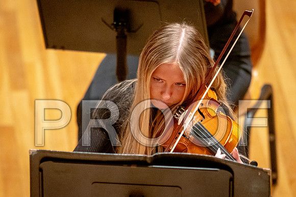 2024 University of Illinois High School Orchestra ClinicFebruary 24, 2024
