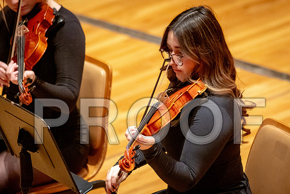 2024 University of Illinois High School Orchestra ClinicFebruary 24, 2024