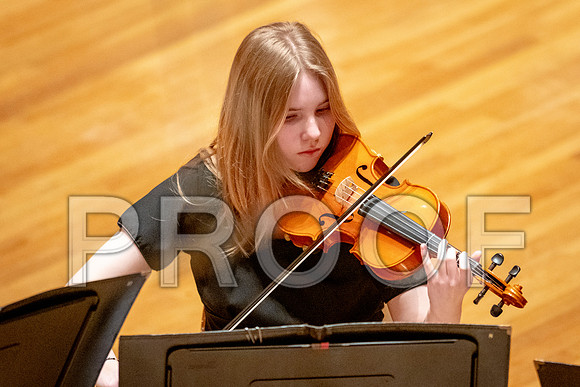 2024 University of Illinois High School Orchestra ClinicFebruary 24, 2024