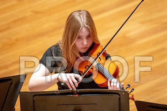 2024 University of Illinois High School Orchestra ClinicFebruary 24, 2024