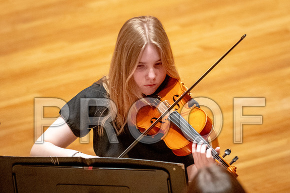 2024 University of Illinois High School Orchestra ClinicFebruary 24, 2024