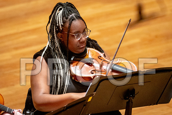 2024 University of Illinois High School Orchestra ClinicFebruary 24, 2024