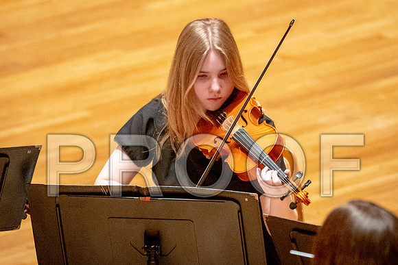 2024 University of Illinois High School Orchestra ClinicFebruary 24, 2024