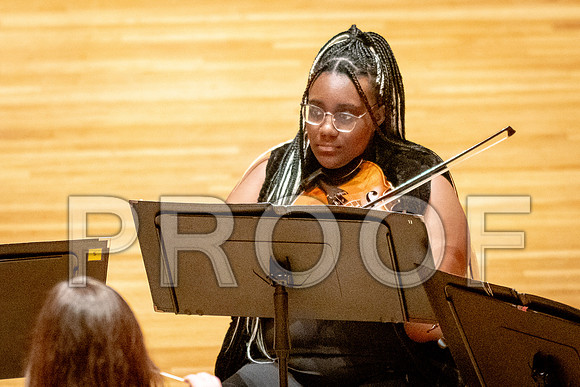2024 University of Illinois High School Orchestra ClinicFebruary 24, 2024