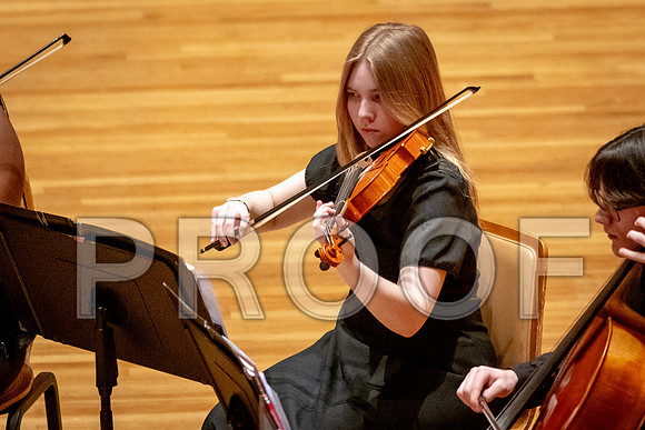 2024 University of Illinois High School Orchestra ClinicFebruary 24, 2024