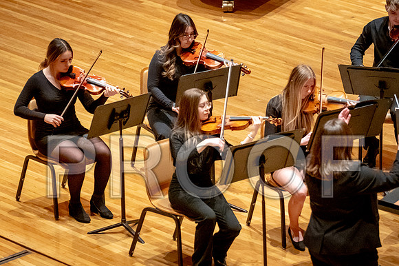 2024 University of Illinois High School Orchestra ClinicFebruary 24, 2024