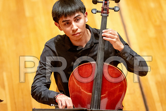 2024 University of Illinois High School Orchestra ClinicFebruary 24, 2024