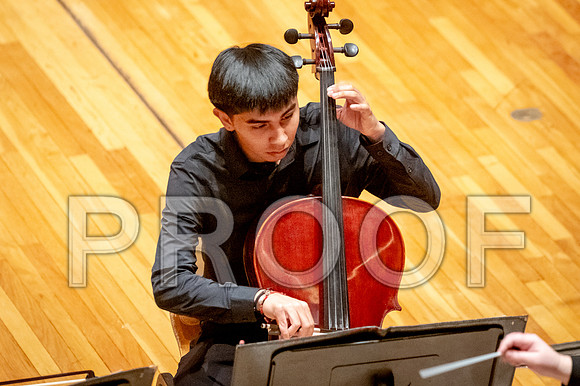 2024 University of Illinois High School Orchestra ClinicFebruary 24, 2024