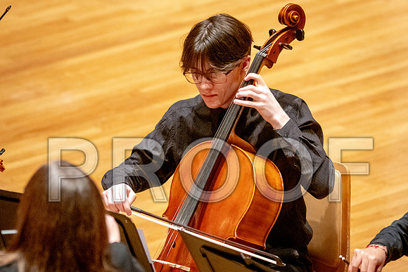 2024 University of Illinois High School Orchestra ClinicFebruary 24, 2024