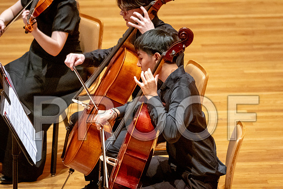2024 University of Illinois High School Orchestra ClinicFebruary 24, 2024