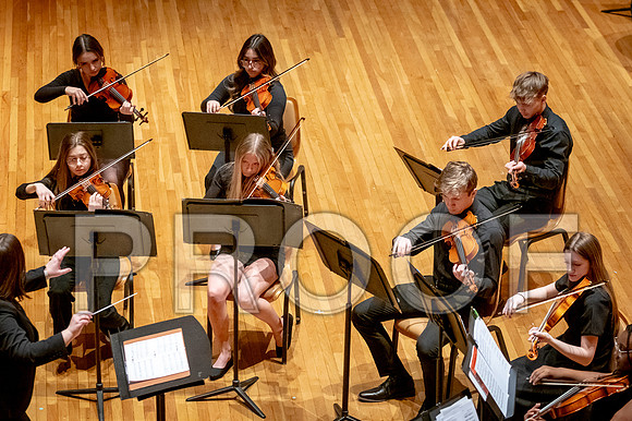 2024 University of Illinois High School Orchestra ClinicFebruary 24, 2024