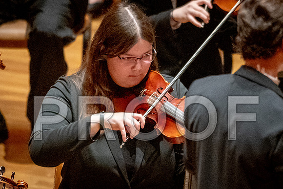 2024 University of Illinois High School Orchestra ClinicFebruary 24, 2024