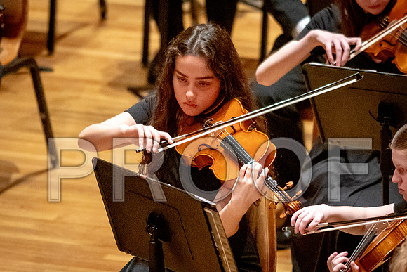 2024 University of Illinois High School Orchestra ClinicFebruary 24, 2024