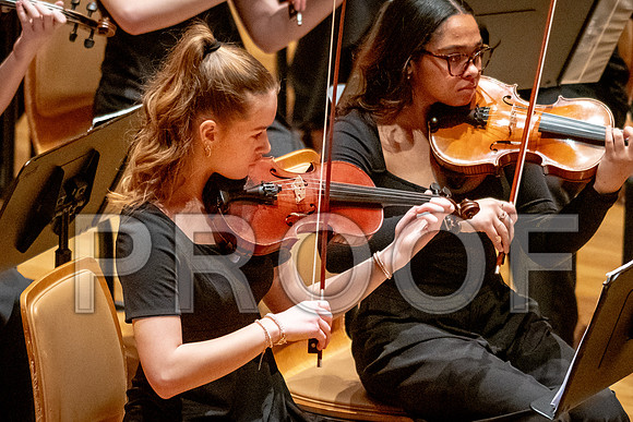 2024 University of Illinois High School Orchestra ClinicFebruary 24, 2024